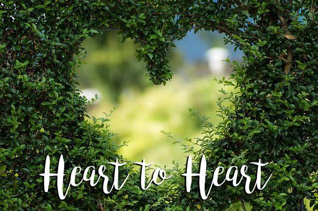 Heart to Heart book